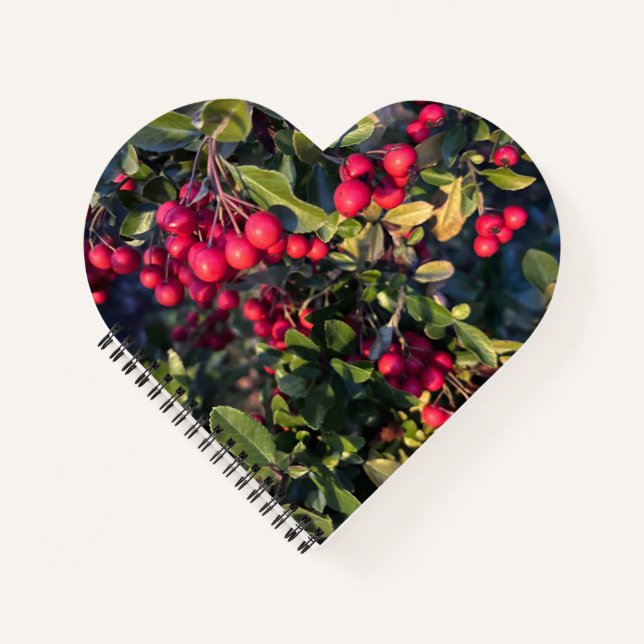 Autumn fruit notebook (Front)