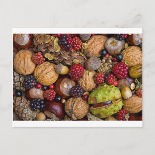 Autumn fruits postcard