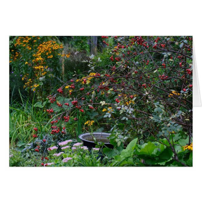 Autumn Garden (Front Horizontal)