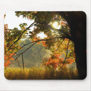 Autumn Glow Mouse Pad