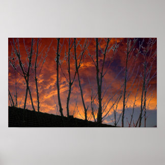 Autumn Gold Sunset in the Country Poster