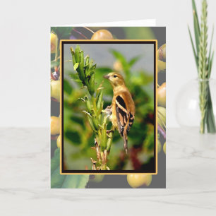 Autumn Goldfinch & Crabapples Notecard