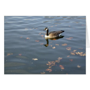 Autumn Goose card