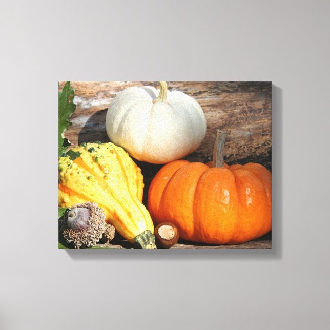 Autumn Gourds Fall Decorative Art Canvas (Front)