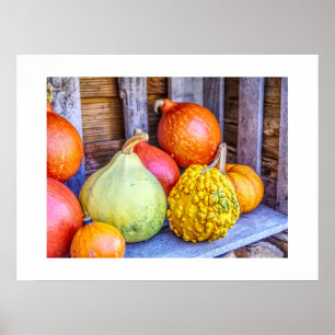 Autumn Gourds Poster