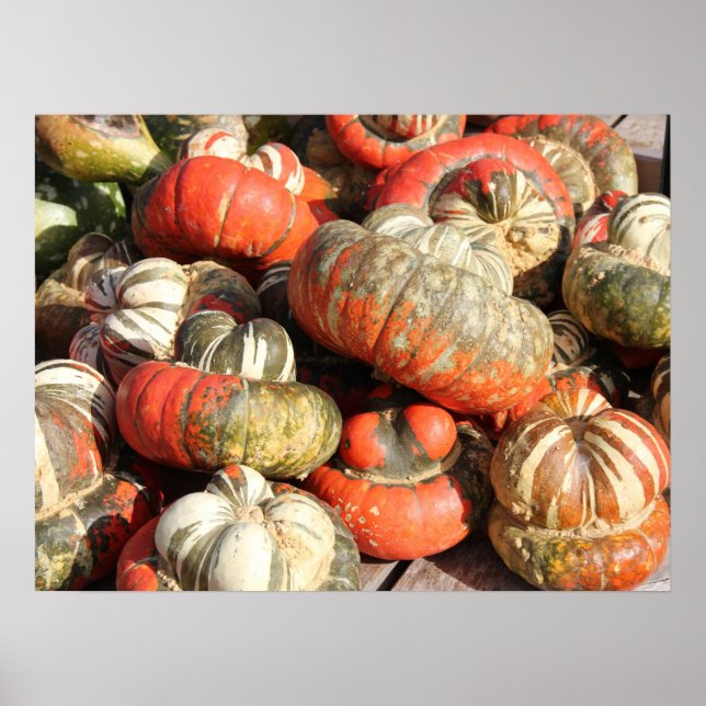 Autumn Gourds Poster (Front)