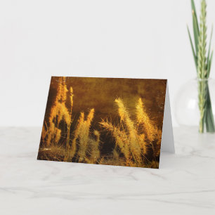 Autumn Grasses Card