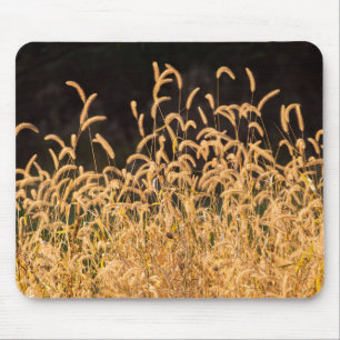 Autumn Grasses Mouse Pad