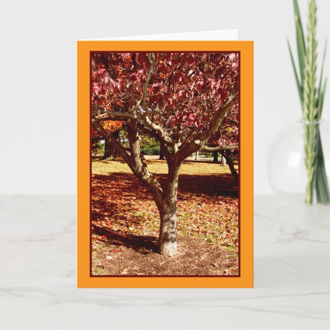 Autumn Greetings Card (Front)