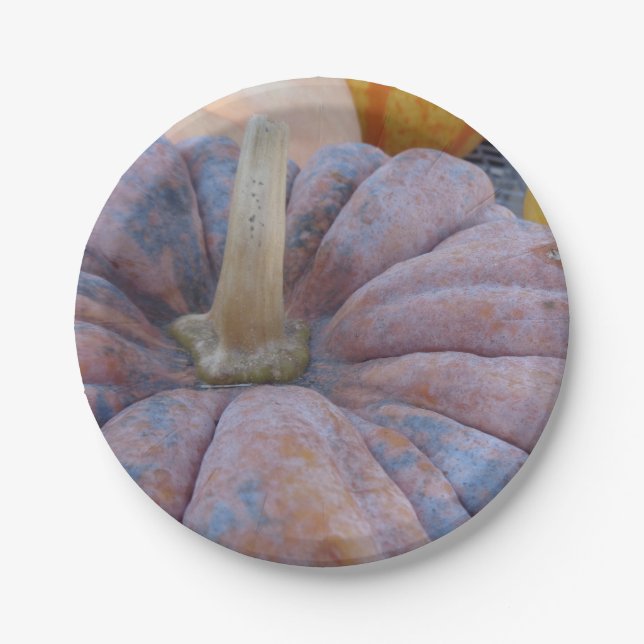 Autumn Greetings! Paper Plate (Front)