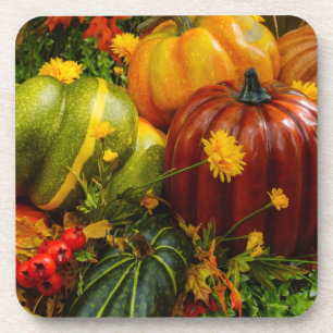 Autumn Grouping Coaster
