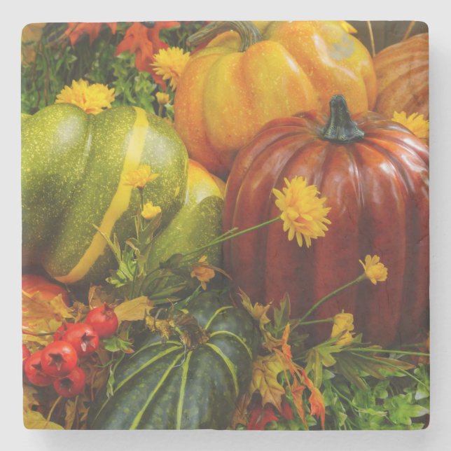Autumn Grouping Stone Coaster (Front)