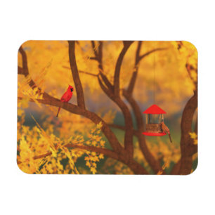 Autumn Guardian Flexible Magnet
