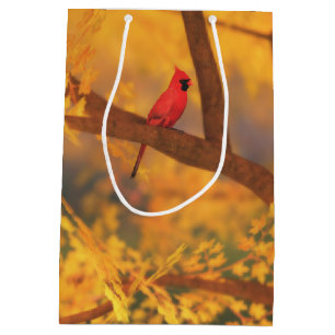 Autumn Guardian Gift Bag