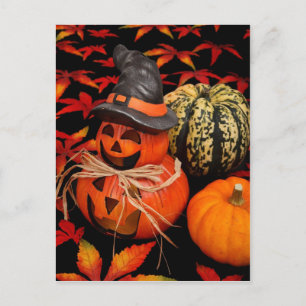 Autumn Halloween Pumpkins and Fall Leaves Postcard