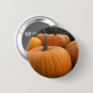 Autumn Harvest Orange Pumpkins 6 Cm Round Badge