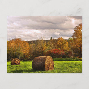 Autumn Harvest Postcard