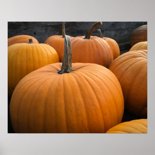 Autumn Harvest Pumpkin Patch Orange Pumpkins Poster (Front)
