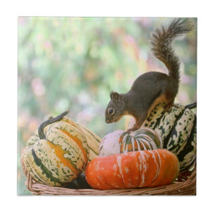 Autumn Harvest Squirrel Tile