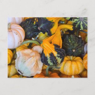 Autumn holiday postcard