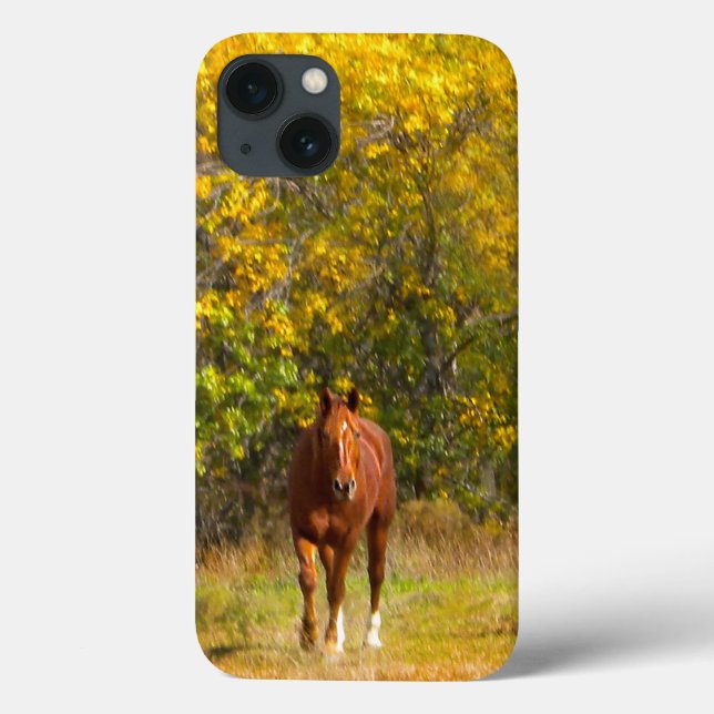 Autumn Horse Case-Mate iPhone Case (Back)