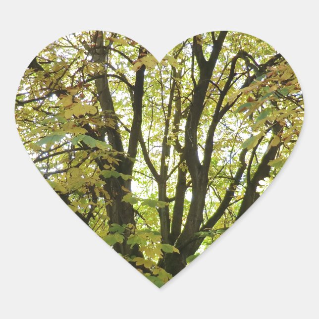 Autumn Horse Chestnut Tree Heart Sticker (Front)