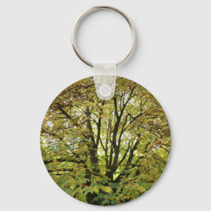 Autumn Horse Chestnut Tree Key Ring