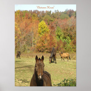 Autumn Horses Poster