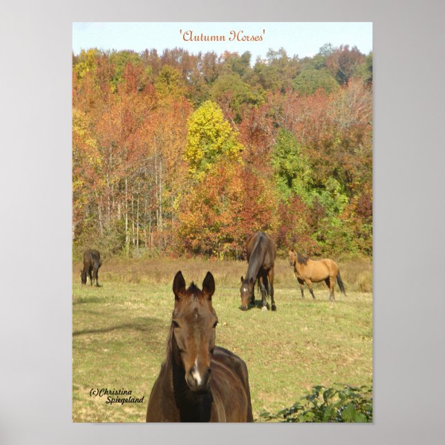 Autumn Horses Poster (Front)