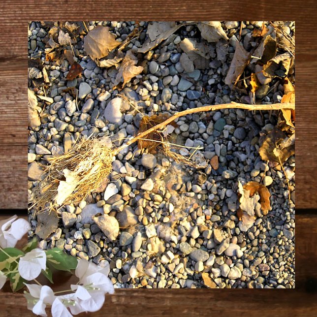 Autumn Impression Glass Coaster (Creator Uploaded)