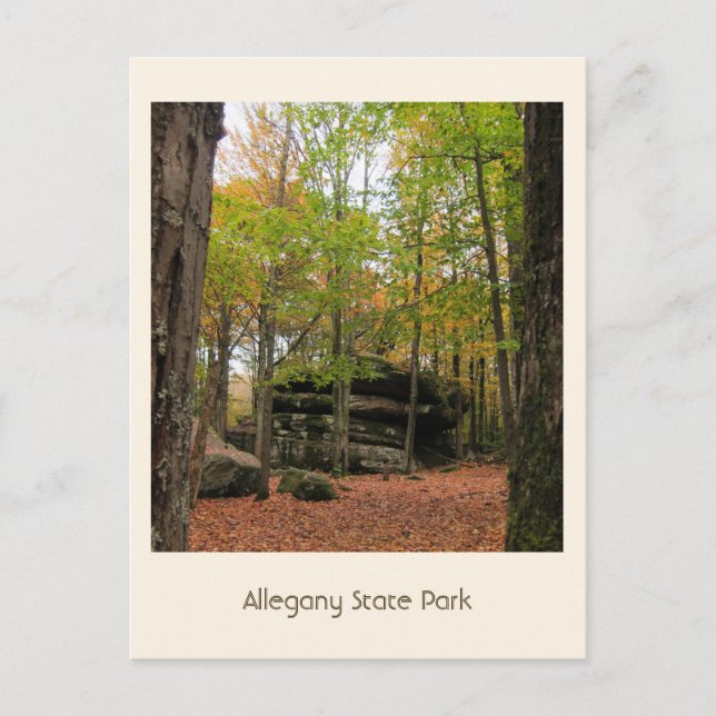 Autumn in Allegany  Postcard (Front)