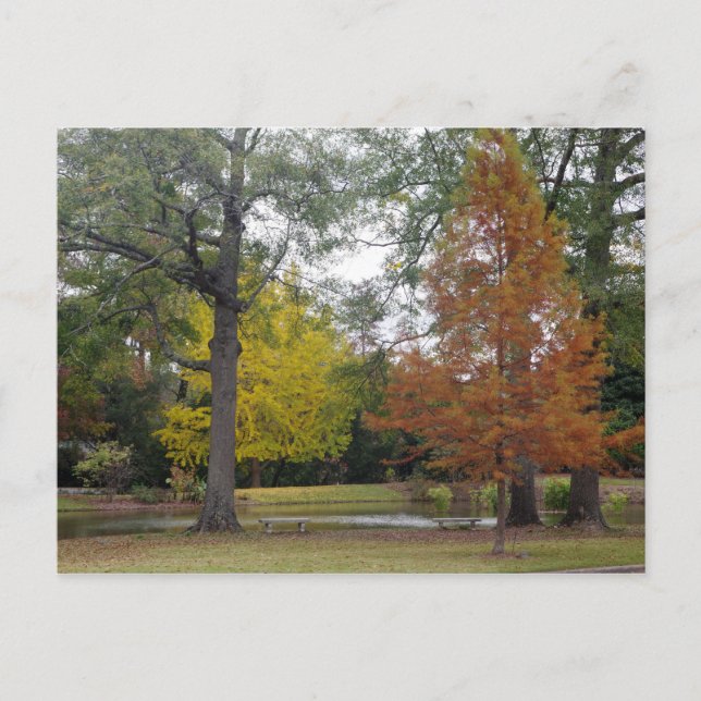 Autumn in Birmingham, Alabama Postcard (Front)