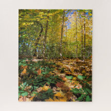Autumn in Central Park New York Jigsaw Puzzle