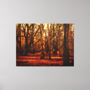 Autumn in Epping Forrest Canvas Print
