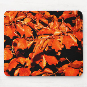 Autumn in Forest Mouse Pad