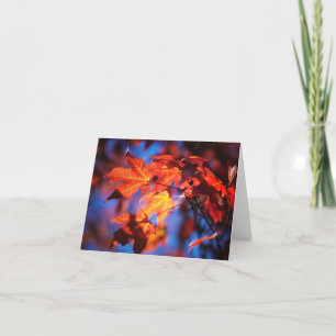 Autumn in Iowa Note Card