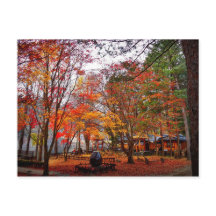 Autumn in Korea