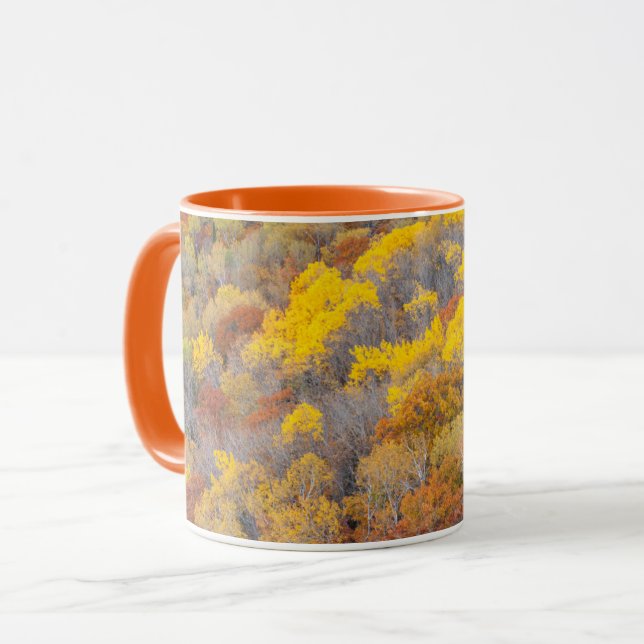 Autumn in Michigan Mug (Front Left)