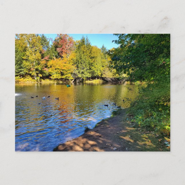 Autumn in Michigan Postcard (Front)