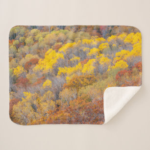 Autumn in Michigan Sherpa Blanket