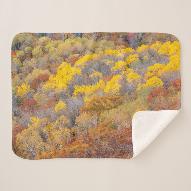 Autumn in Michigan Sherpa Blanket (Front (Horizontal))