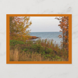 Autumn in Minnesota Postcard