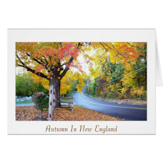 Autumn In New England