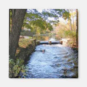 Autumn in New England 47 ~ magnet