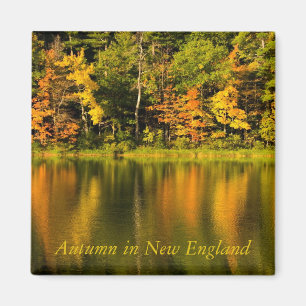 Autumn in New England Magnet