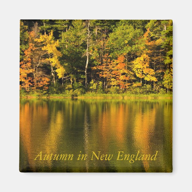 Autumn in New England   Magnet (Front)