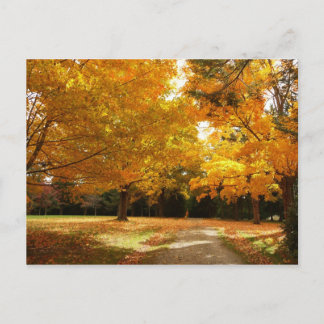 Autumn in New England Postcard