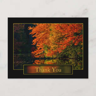 Autumn In New England Thank You Postcard