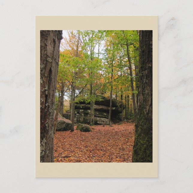 Autumn in New York - 1 Postcard (Front)