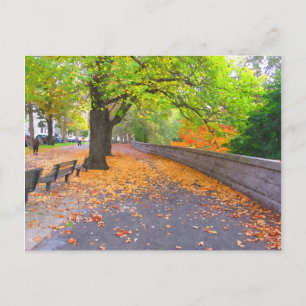 AUTUMN IN NEW YORK CITY POSTCARD
